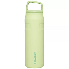 Stanley 24oz Stainless Steel IceFlow Aerolight Water Bottle Cap and Carry